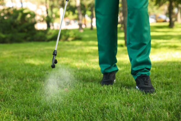 Trusted Meridian, ID Pest Control Experts