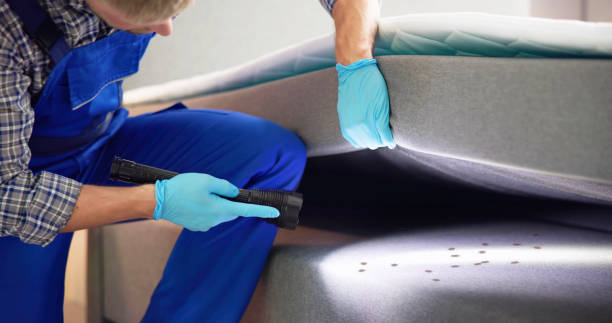 Best Residential Pest Control  in Merian, ID