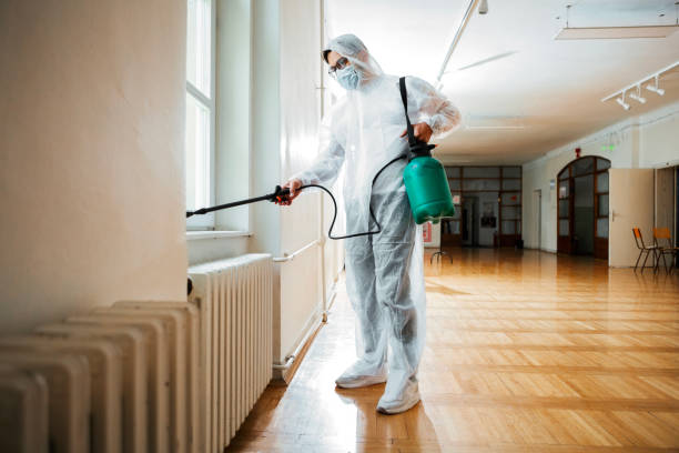 Best Flea Control Services  in Merian, ID